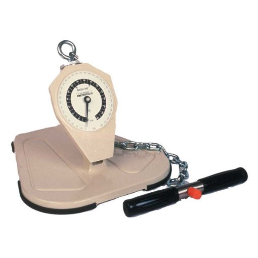 Picture of BACK LEG CHEST DYNAMOMETER