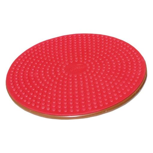Picture of OPC WOBBLE BOARD