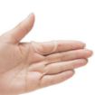Picture of OVAL-8 BEIGE REFILL (PACK OF 5)