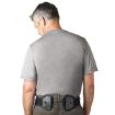 Picture of Aspen Evergreen Belt