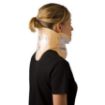Picture of ASPEN SIERRA UNIVERSAL COLLAR