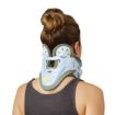 Picture of ASPEN VISTA MULTIPOST COLLAR
