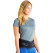 Picture of ASPEN LUMBAR SUPPORT