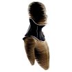 Picture of Head Up Collar
