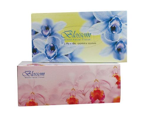 Picture of BLOSSOM FACIAL TISSUE 2 PLY