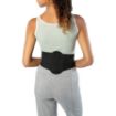 Picture of Bioskin Lumbar Support Brace with Oval Pad