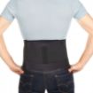 Picture of Bioskin Lumbar Support Brace with Oval Pad