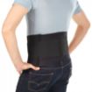 Picture of Bioskin Lumbar Support Brace with Oval Pad