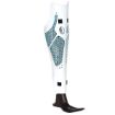 Picture of ALLELES APOLLO
