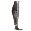 Picture of ALLELES HI-TOP
