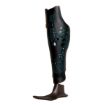Picture of ALLELES HI-TOP