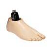 Picture of AvalonK2 Foot