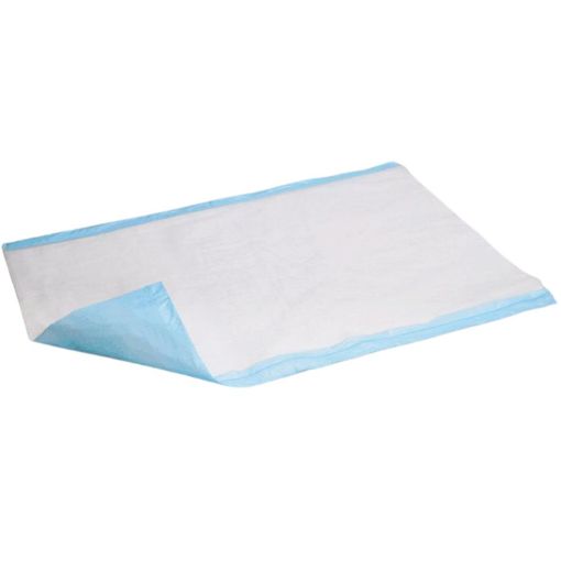 Picture of Halyard 2765 Underpads (Blueys)