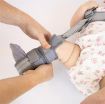 Picture of OAPL KOALA PAVLIK HARNESS